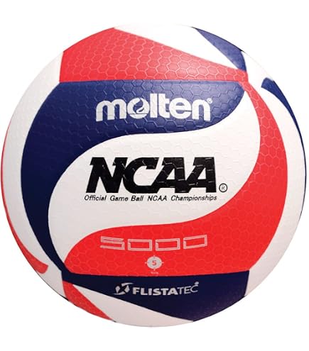Amazon.com : The Official Molten FIVB Approved Elite Beach